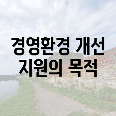 경영환경 개선 지원의 목적