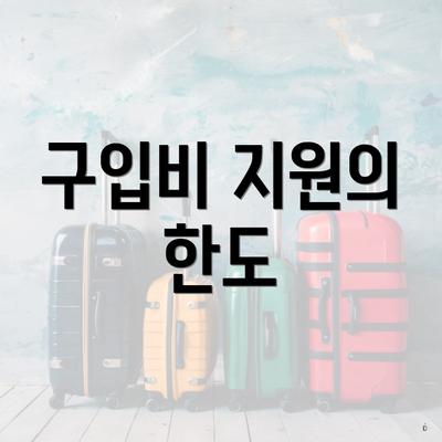 구입비 지원의 한도