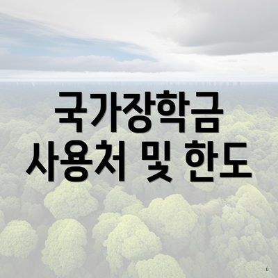 국가장학금 사용처 및 한도