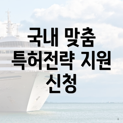 국내 맞춤 특허전략 지원 신청