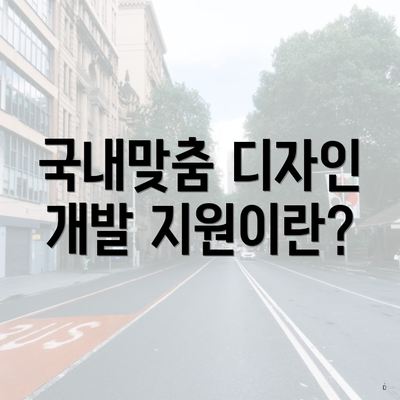 국내맞춤 디자인 개발 지원이란?