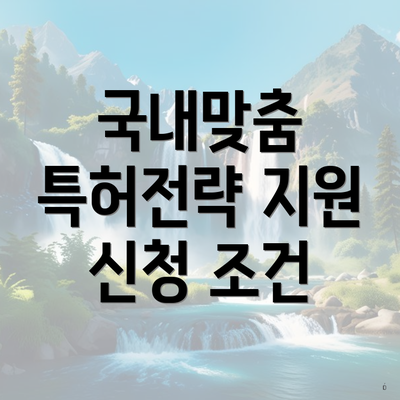 국내맞춤 특허전략 지원 신청 조건