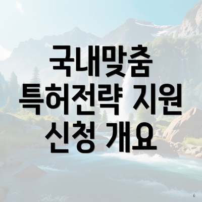 국내맞춤 특허전략 지원 신청 개요