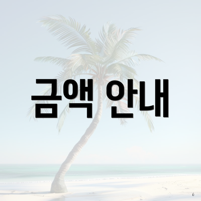 금액 안내