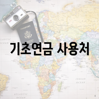기초연금 사용처