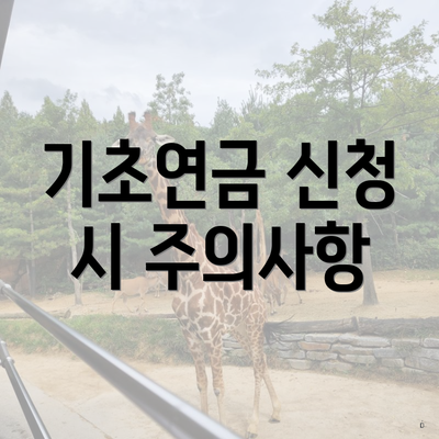 기초연금 신청 시 주의사항