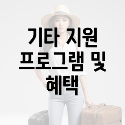 기타 지원 프로그램 및 혜택