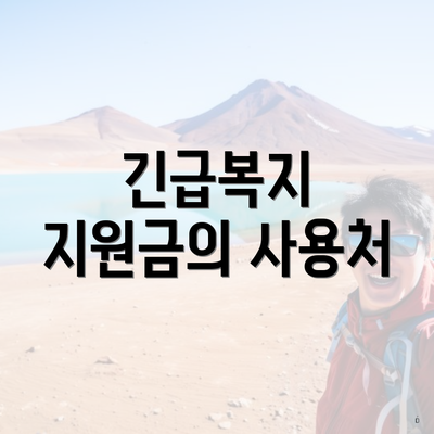 긴급복지 지원금의 사용처