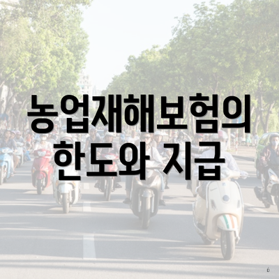 농업재해보험의 한도와 지급