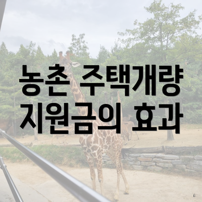 농촌 주택개량 지원금의 효과