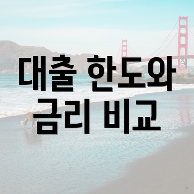 대출 한도와 금리 비교
