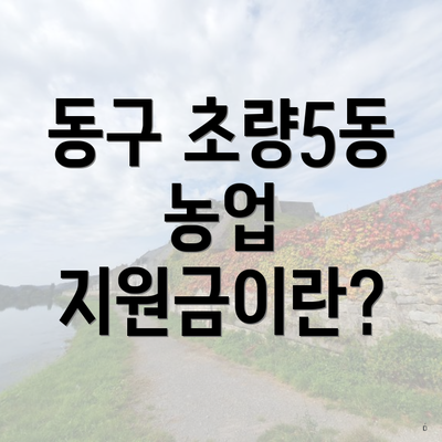 동구 초량5동 농업 지원금이란?