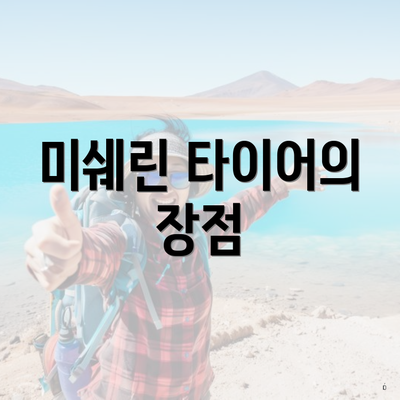 미쉐린 타이어의 장점