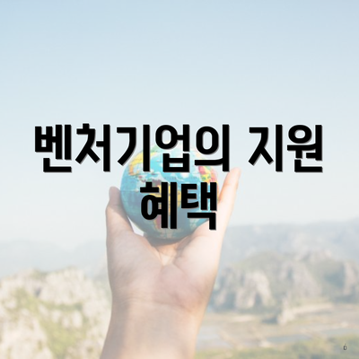 벤처기업의 지원 혜택