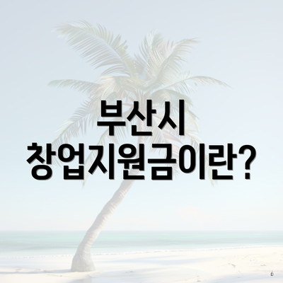 부산시 창업지원금이란?