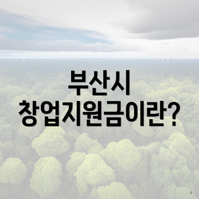 부산시 창업지원금이란?
