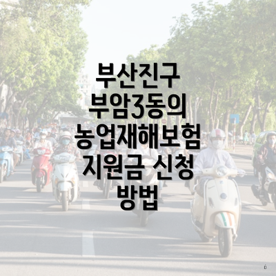 부산진구 부암3동의 농업재해보험 지원금 신청 방법