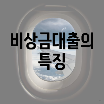 비상금대출의 특징