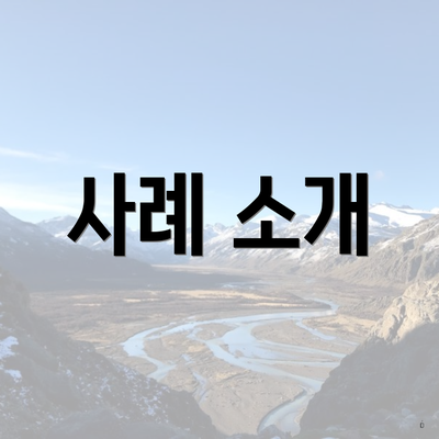 사례 소개