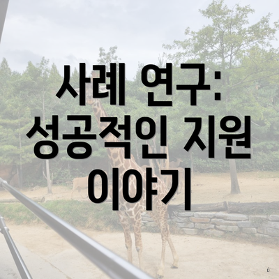 사례 연구: 성공적인 지원 이야기