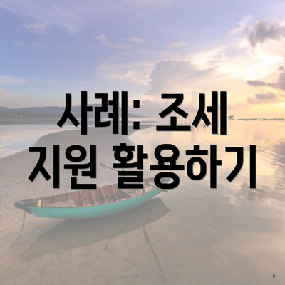 사례: 조세 지원 활용하기
