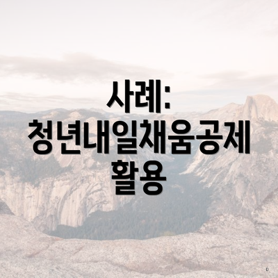 사례: 청년내일채움공제 활용