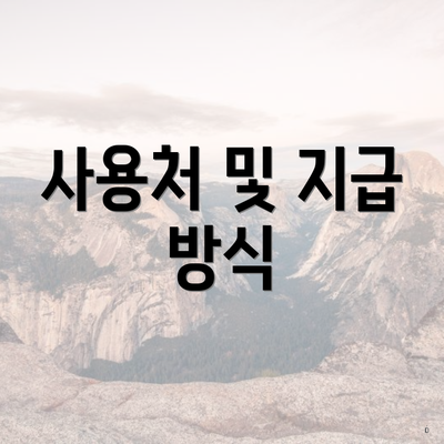 사용처 및 지급 방식