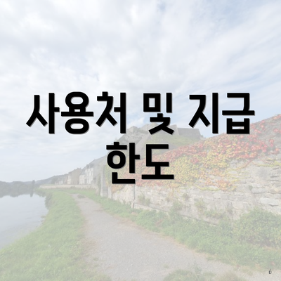 사용처 및 지급 한도