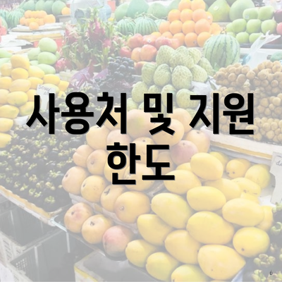 사용처 및 지원 한도