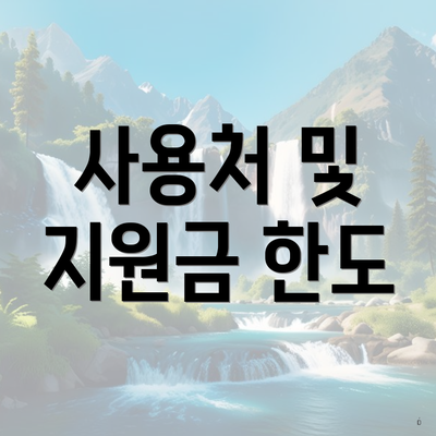 사용처 및 지원금 한도