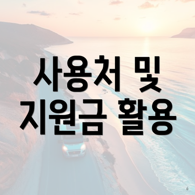 사용처 및 지원금 활용