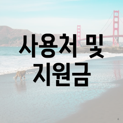 사용처 및 지원금