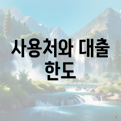 사용처와 대출 한도