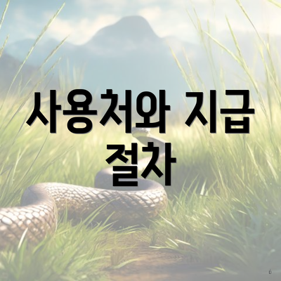 사용처와 지급 절차