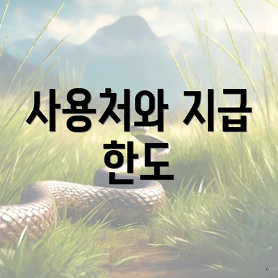 사용처와 지급 한도