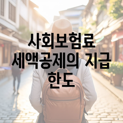 사회보험료 세액공제의 지급 한도
