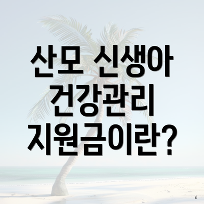 산모 신생아 건강관리 지원금이란?