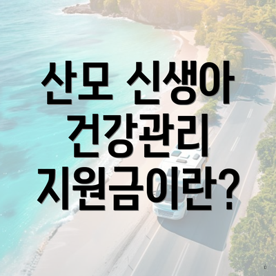 산모 신생아 건강관리 지원금이란?