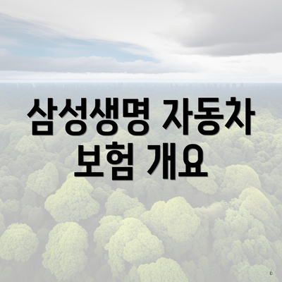 삼성생명 자동차 보험 개요