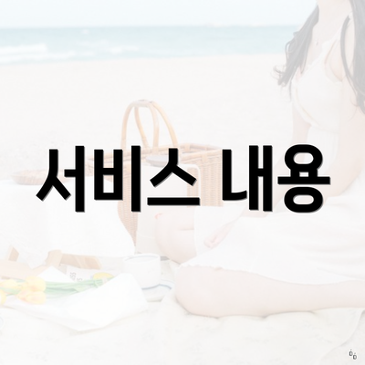 서비스 내용