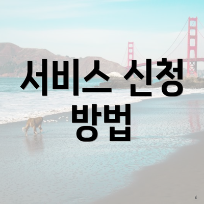 서비스 신청 방법