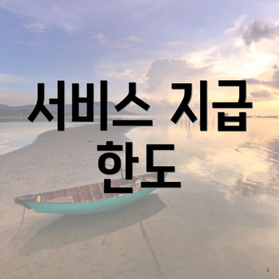 서비스 지급 한도