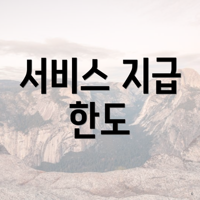 서비스 지급 한도