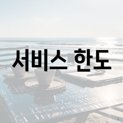 서비스 한도