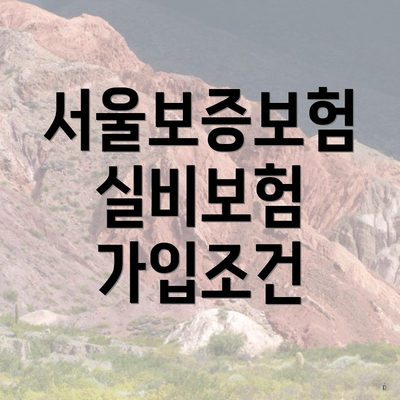 서울보증보험 실비보험 가입조건