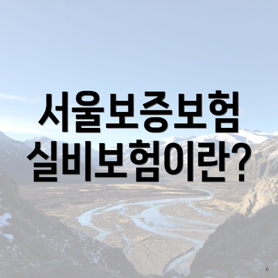 서울보증보험 실비보험이란?