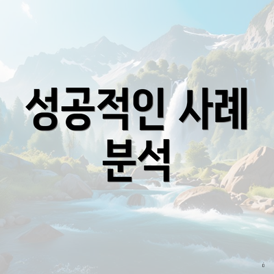 성공적인 사례 분석