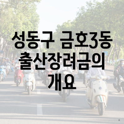 성동구 금호3동 출산장려금의 개요