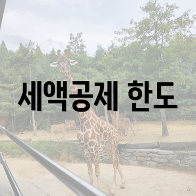 세액공제 한도