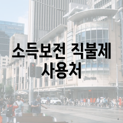 소득보전 직불제 사용처